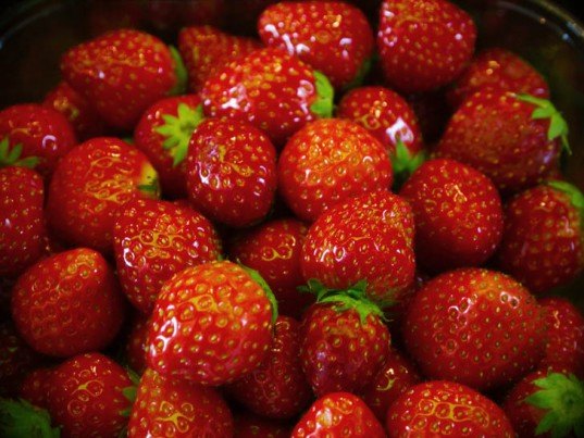 草莓冷库